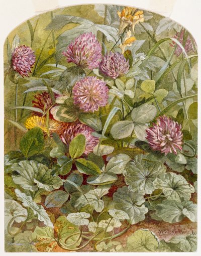 Trébol rojo con mantequilla y huevos y hiedra terrestre, 1860 de William Trost Richards
